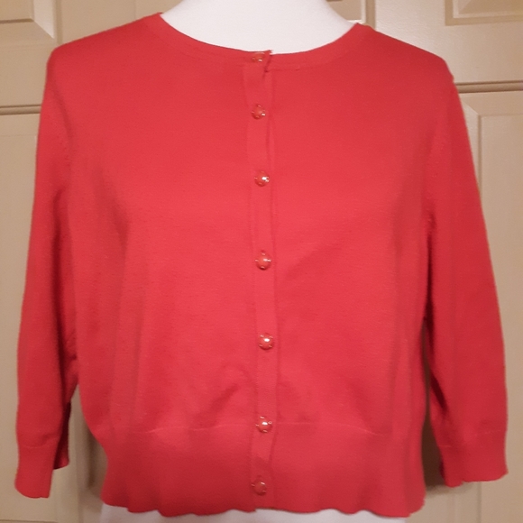 cato plus size sweaters